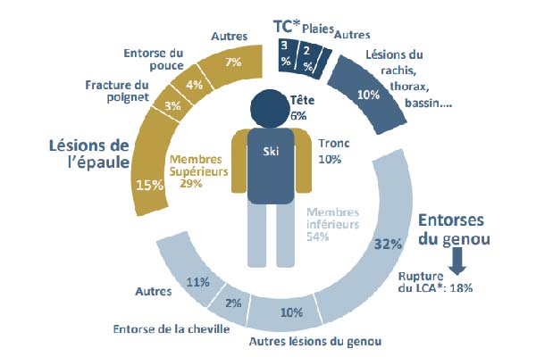 Part des types de blessures à ski